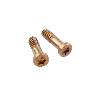 Pentacle Charging Port Screws Set for iPhone 6S(2 pcs for 1 unit) - Gold PH-HO-IP-00149GD